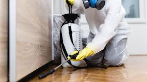 Best Fumigation Services  in Ellenville, NY