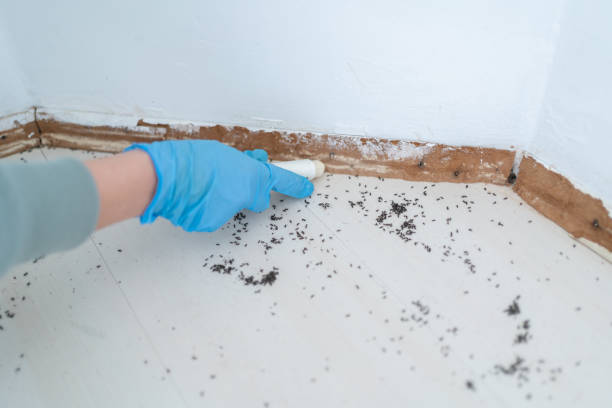 Best Pest Exclusion Services  in Ellenville, NY